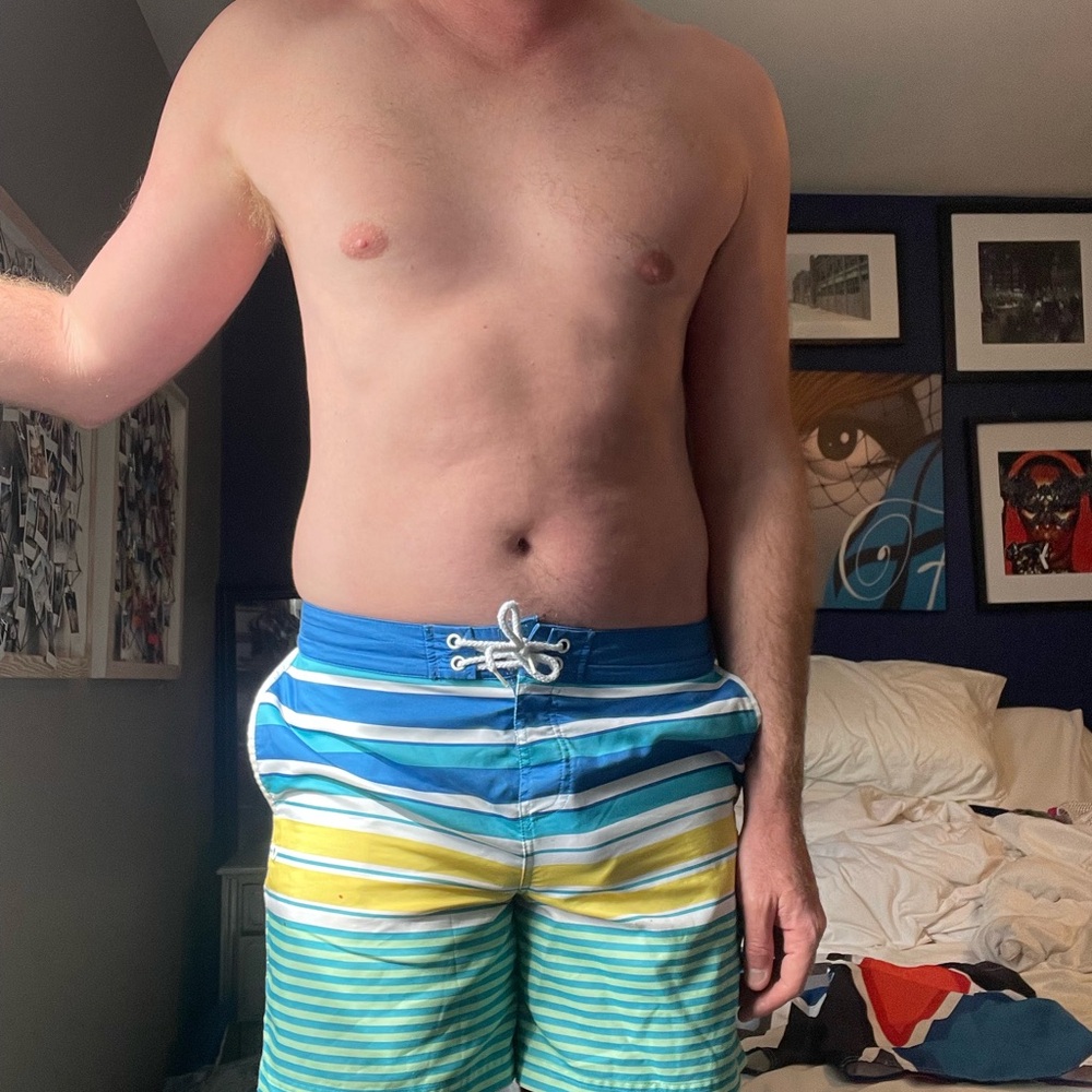 Men's Penguin Multicolor Striped Swim Shorts